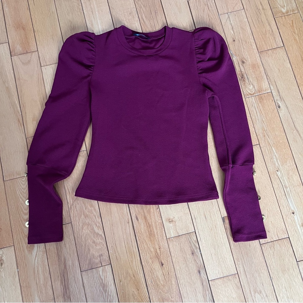 Red Fitted Long Sleeve Puff Blouse